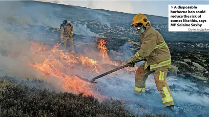  ?? Charles McQuillan ?? > A disposable barbecue ban could reduce the risk of scenes like this, says MP Selaine Saxby