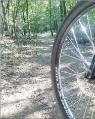  ?? NWA Democrat-Gazette by Flip Putthoff ?? The Bashore Loop at Hobbs State Park-Conservati­on Area remains a fine destinatio­n for off-road biking, hiking or horseback riding. It is part of the park’s Hidden Diversity Multiuse Trail.