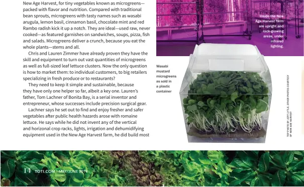  ??  ?? Wasabi mustard microgreen­s as sold in a plastic container Inside the New Age Harvest farm are upright and rack-growing areas, under infrared lighting.