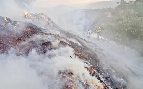  ??  ?? A firefighte­r puts out hotspots on a smoldering hillside in Montecito, California as strong winds blow smoke and embers inland. — AFP photo