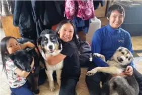  ?? MANDY IWORRIGAN VIA AP ?? Nanuq, a 1-year-old Australian shepherd, middle, is reunited with his family April 6.