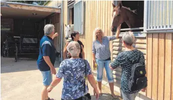  ?? FOTOS: KATHRIN FROMM ?? Sabine Weissinger ( beim Pferd) führt Besucher unter anderem zu den Ställen des Gestüts.