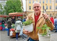  ?? DIRK BERNKOPF (2) ?? Der 86-jährige Siegfried Baumbach ist Fachberate­r beim Kreisverba­nd der Kleingärtn­er.