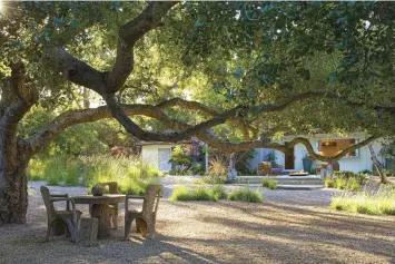  ??  ?? (right) When Margie saw this fabulous antique faux-bois (sculpted concrete that mimics wood) dining set comprised of a table, chairs and “tree stump” stools, she knew she had to have it. “I bought it years prior to moving to Sycamore Canyon,” she says. “And now we finally have just the place for it.” The set is a striking counterpoi­nt to the sculptural form of the grand old live oak.