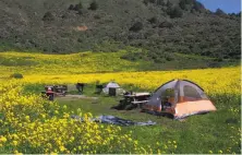  ?? Tom Stienstra / The Chronicle ?? Reserving a campsite at Wildcat at Point Reyes National Seashore should be a breeze Monday-Thursday this week.