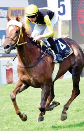  ?? Picture: JC Photograph­ics ?? TOP FILLY. Queen Supreme is under sufferance in Saturday’s Gauteng Chris Gerber Summer Cup but trainer Mike de Kock believes the filly has the talent to take on this field.