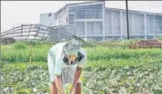  ?? HT FILE PHOTO ?? A farmer works in his field next to the closed Tata Motors factory in Singur. In November 2017, the Hooghly district magistrate issued a fresh notice, inviting farmers to work in the fields. Only 50 of the 630 applicants turned up till January 8.