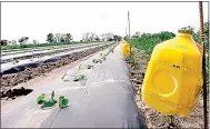  ?? Photo From Missouri Extension Service ?? A milk jug, painted yellow, with quarter-inch holes punched into it, makes an effective trap for cucumber beetles.