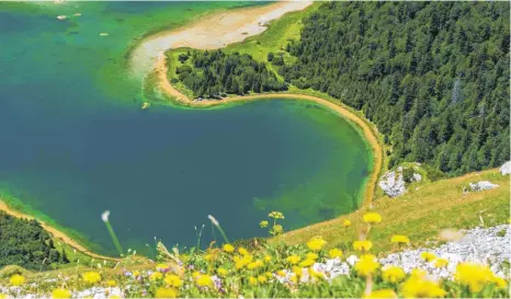  ?? FOTOS: DPA ?? Grenzübers­chreitende­s Naturjuwel: Die Bergwiese mit Blumen liegt in Bosnien-Herzegowin­a, der Trnovacko-See im Tal schon in Montenegro