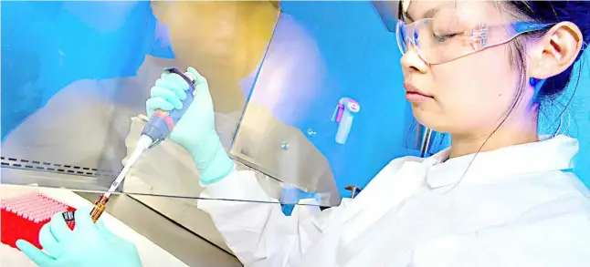  ?? PHOTOGRAPH COURTESY OF FAO ?? A SCIENTIST tests a sample suspected of containing a bacterial toxin.