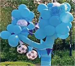  ?? ?? and (left) the sky blue tree City fan `Mark Muncaster has decorated outside his family home in Broad Lane