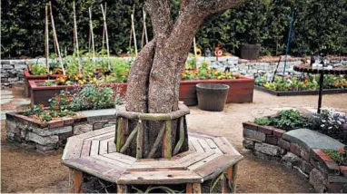  ?? MARTHA BENEDICT 2011 ?? A bench around a tree and raised flower and vegetable beds, which were all built by landscape designer Katharine Pinney from discarded scaffoldin­g, is seen at a home in La Canada, California.