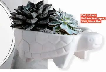  ??  ?? Pot tortue : Pot en céramique, 29 $, West Elm