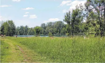  ?? FOTOS: TOBIAS SCHUMACHER ?? Momentan können sich Badegäste am Burkwanger Baggersee gut im Gras verstecken.