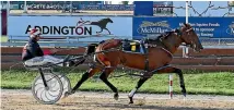  ?? PHOTO: RACE IMAGES ?? Ocean Ridge has been sold to Perth interests after winning at Addington earlier this month.
