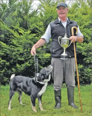  ?? 04_c37sheepdo­gtrial01 ?? Alec with the ever obedient Tweed at Bruiland, Skipness.