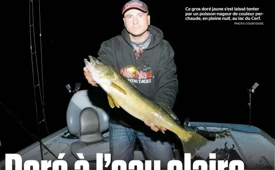  ??  ?? Ce gros doré jaune s’est laissé tenter par un poisson-nageur de couleur perchaude, en pleine nuit, au lac du Cerf.