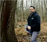  ?? ALEXANDRA HATCH ?? Researcher David Moore believes tapping other trees holds promise as we grapple with climate change.