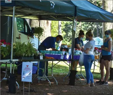  ?? CARLY STONE — MEDIANEWS GROUP ?? People shop at the Cottage Lawn Farmers’ Market in Oneida.