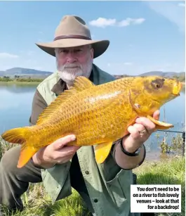  ??  ?? You don’t need to be on a river to fish lovely venues – look at that for a backdrop!