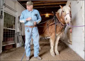  ?? Arkansas Democrat-Gazette/BILL BOWDEN ?? Floyd Worley, an animal trainer at the Great Passion Play near Eureka Springs, checks the harness on Barney, one of two horses the attraction bought Tuesday. The horses were the first livestock purchased since operators sold off all the animals in...