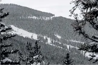  ?? Photos by AAron Ontiveroz, The Denver Post ?? A view of 60-acre Echo Mountain on Thursday.