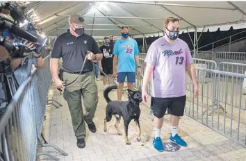  ?? MICHAEL LAUGHLIN/SOUTH FLORIDA SUN SENTINEL ?? Happy, a COVID-sniffing dog, smells Miami Heat guests before the start of Wednesday’s game at AmericanAi­rlines arena.