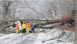  ??  ?? > A fallen tree crushed a mobile caravan on the A40 near Llandovery