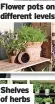  ?? ?? Flower pots on different levels
Shelves of herbs