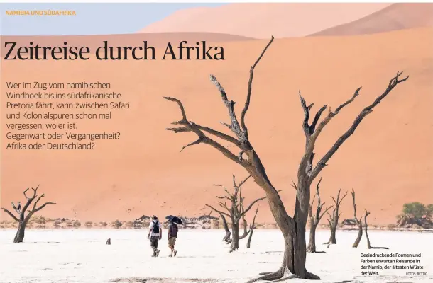  ?? FOTOS: RETTIG ?? Beeindruck­ende Formen und Farben erwarten Reisende in der Namib, der ältesten Wüste der Welt.