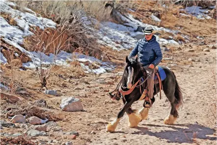  ?? LUIS SÁNCHEZ SATURNO/THE NEW MEXICAN ?? John Prosser of Santa Fe rides Bear, a gypsy vanner draft horse, in the dry bed of the Santa Fe River next to the River Trail on Tuesday.