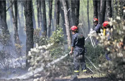  ??  ?? Novi zakon o šumama, koji je nedavno prošao javnu raspravu, dignuo buru