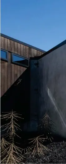  ??  ?? Right Emma-Jane Hetheringt­on and Charlotte approach entrance where a concrete fin wall faces an opposing timber wall.