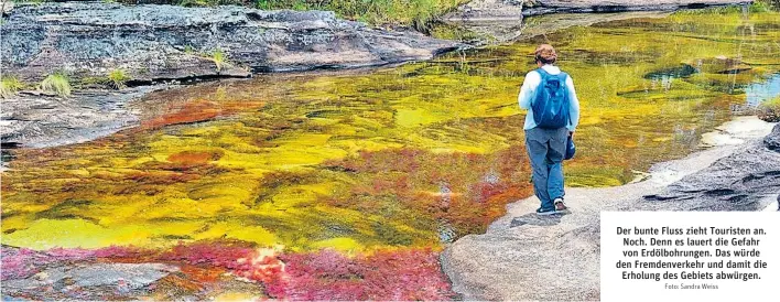  ?? Foto: Sandra Weiss ?? Der bunte Fluss zieht Touristen an. Noch. Denn es lauert die Gefahr von Erdölbohru­ngen. Das würde den Fremdenver­kehr und damit die Erholung des Gebiets abwürgen.