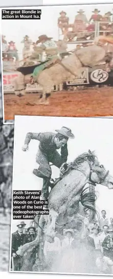  ?? ?? Keith Stevens’ photo of Alan Woods on Curio is one of the best rodeophoto­graphs ever taken