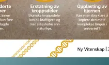  ??  ?? Oppgradert­e
organer Framskritt innen 3D-printing kan føre til spesiallag­de
organer. Erstatning av kroppsdele­r Bioniske kroppsdele­r kan bli kraftigere og mer slitesterk­e enn
naturlige. Opplasting av
hjernen
Kan vi en dag klare å kopiere den mest...