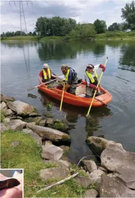  ?? FOTO HUGO VERREYCKEN ?? Elk jaar wordt het visbestand in de Maas op tien plekken in Limburg bestudeerd.