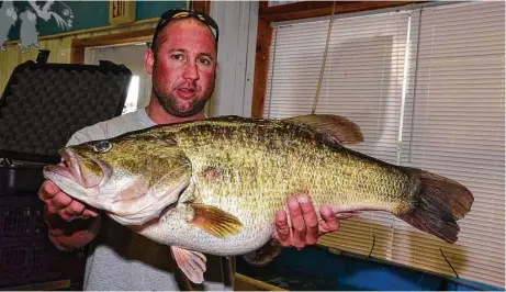  ?? Texas Parks and Wildlife Department ?? Texas’ revamped and expanded ShareLunke­r program, which solicits anglers to report catches of 8-pound and 24-inch-or-larger largemouth bass and donate live 13-pound-or-heavier fish to the state’s hatchery stock, has seen 47 entries from 24 lakes since...