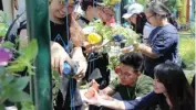  ?? SEPTINDA AYU/JAWA POS ?? KELESTARIA­N ALAM: Mahasiswa UK Petra praktik urban farming di Mangrove Informatio­n Center-Wonorejo kemarin.