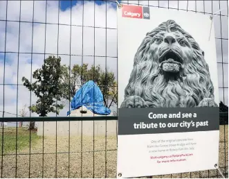  ?? LEAH HENNEL ?? One of the original lion sculptures that was on the Centre Street Bridge from 1917 to 1999 will have a new perch in Rotary Park. The big cat was sculpted by stonemason James L. Thomson.