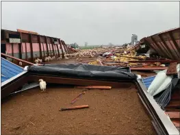  ?? RANKIN COUNTY SHERIFF BRYAN BAILEY ?? Chickens roam free after a chicken farm in Pelahatchi, Miss., was damaged by a tornado on Wednesday.