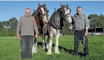  ?? PHOTO: BRITTANY PICKETT/STUFF ?? Des Macgregor and Paul Eaton, and their clydesdale­s Jill and Don, are preparing for the national ploughing championsh­ips.