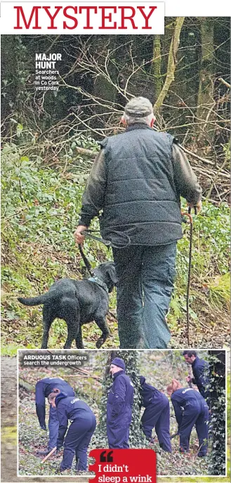  ??  ?? MAJOR HUNT Searchers at woods in Co Cork yesterday ARDUOUS TASK Officers search the undergrowt­h