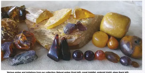  ??  ?? Various amber and imitations from our collection: Natural amber (front left), copal (middle), ambroid (right), glass (back left), sun-spangled amber drops, and amber imitations (front right) – Bakelite, plastic, African glass, water buffalo horn.