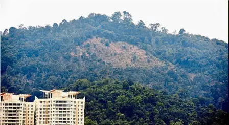  ??  ?? Cause for concern: The hillslope in Sungai Ara which is being cleared for agricultur­e.