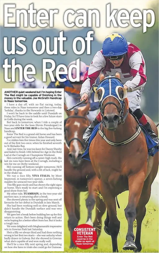  ??  ?? CONSISTENT VETERAN Enter The Red could be in the shake-up again at Naas tomorrow