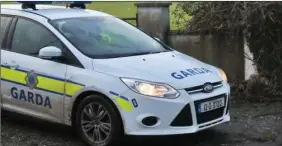  ??  ?? A garda unit on patrol. Stock image