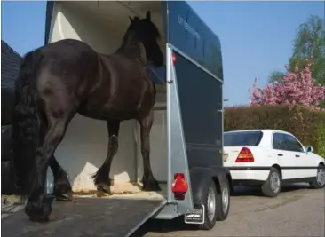  ??  ?? På sigt skal det også vaere muligt at leje større trailere til eksempelvi­s sin hest.