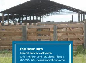  ??  ?? FOR MORE INFO Deseret Ranches of Florida 13754 Deseret Lane, St. Cloud, Florida 407-892-3672; deseretran­chflorida.com