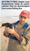  ??  ?? SETTING IT FREE: Angler Juan Koekoemoer holds an oyster catcher than he disentangl­ed from some fishing line